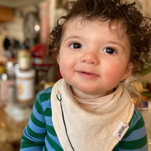 Meet your Posher, Mogget - Picture 7 of 16